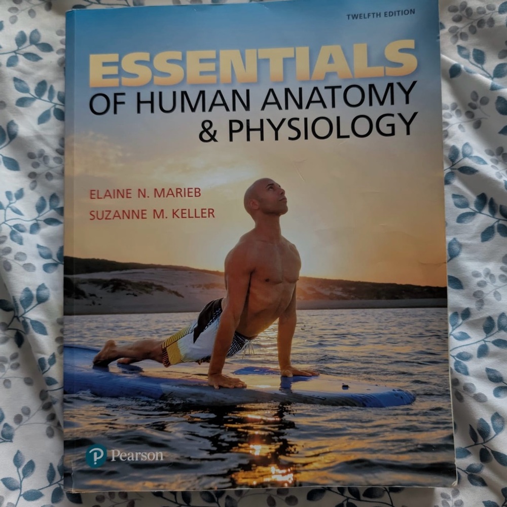Pearson Essentials of Human Anatomy & Physiology - Blue and White Cover